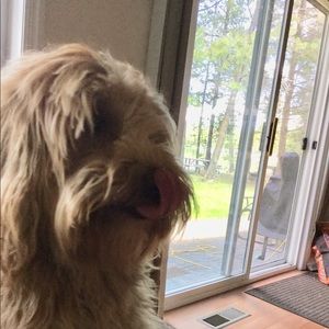 Meet your Posher, Lola